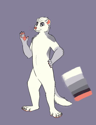 Reference Image for FlakFerret